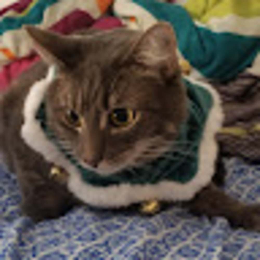 Meet your Posher, Kathryn